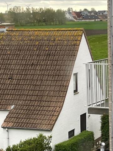 Bed & Breakfast The Pipers 3*